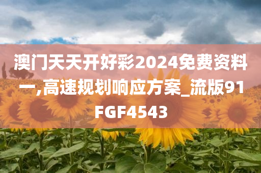 澳门天天开好彩2024免费资料一,高速规划响应方案_流版91FGF4543