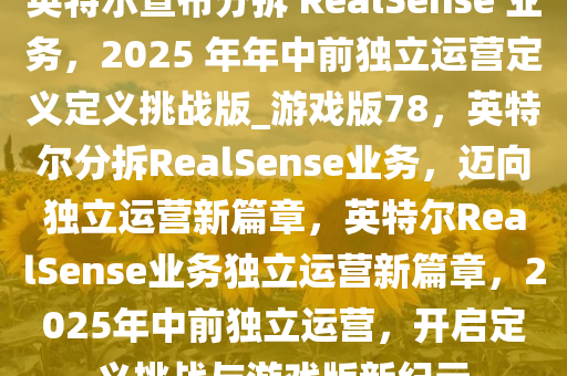 英特尔宣布分拆 RealSense 业务，2025 年年中前独立运营定义定义挑战版_游戏版78，英特尔分拆RealSense业务，迈向独立运营新篇章，英特尔RealSense业务独立运营新篇章，2025年中前独立运营，开启定义挑战与游戏版新纪元