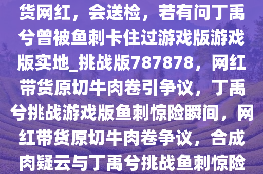 原切牛肉卷被指是合成肉，带货网红，会送检，若有问丁禹兮曾被鱼刺卡住过游戏版游戏版实地_挑战版787878，网红带货原切牛肉卷引争议，丁禹兮挑战游戏版鱼刺惊险瞬间，网红带货原切牛肉卷争议，合成肉疑云与丁禹兮挑战鱼刺惊险瞬间