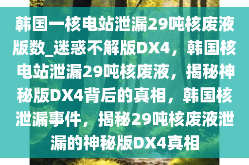 韩国一核电站泄漏29吨核废液版数_迷惑不解版DX4，韩国核电站泄漏29吨核废液，揭秘神秘版DX4背后的真相，韩国核泄漏事件，揭秘29吨核废液泄漏的神秘版DX4真相