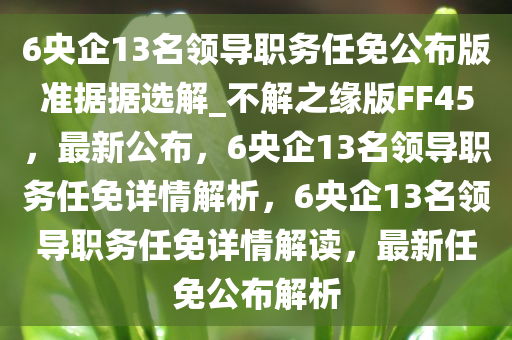 6央企13名领导职务任免公布版准据据选解_不解之缘版FF45，最新公布，6央企13名领导职务任免详情解析，6央企13名领导职务任免详情解读，最新任免公布解析