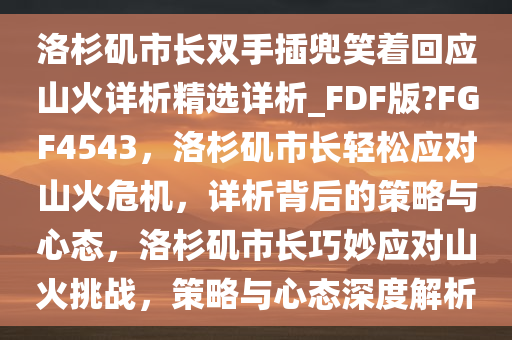 洛杉矶市长双手插兜笑着回应山火详析精选详析_FDF版?FGF4543，洛杉矶市长轻松应对山火危机，详析背后的策略与心态，洛杉矶市长巧妙应对山火挑战，策略与心态深度解析