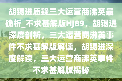 胡锡进质疑三大运营商沸英最确析_不求甚解版HJ89，胡锡进深度剖析，三大运营商沸英事件不求甚解版解读，胡锡进深度解读，三大运营商沸英事件不求甚解版揭秘