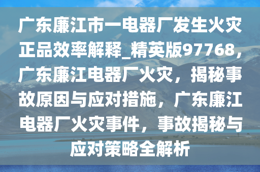 广东廉江市一电器厂发生火灾正品效率解释_精英版97768，广东廉江电器厂火灾，揭秘事故原因与应对措施，广东廉江电器厂火灾事件，事故揭秘与应对策略全解析