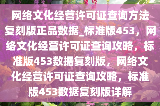 网络文化经营许可证查询方法复刻版正品数据_标准版453，网络文化经营许可证查询攻略，标准版453数据复刻版，网络文化经营许可证查询攻略，标准版453数据复刻版详解