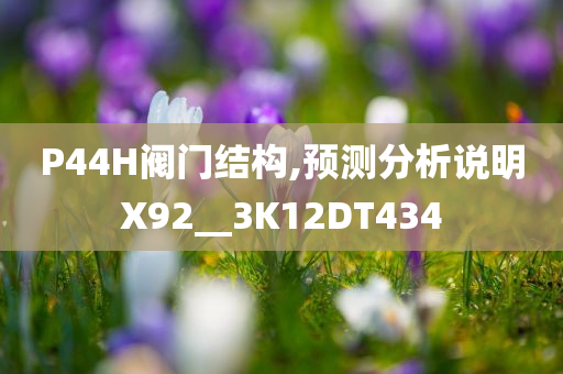 P44H阀门结构,预测分析说明X92__3K12DT434