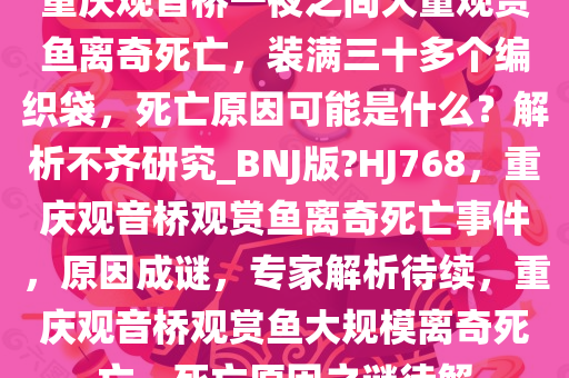 重庆观音桥一夜之间大量观赏鱼离奇死亡，装满三十多个编织袋，死亡原因可能是什么？解析不齐研究_BNJ版?HJ768，重庆观音桥观赏鱼离奇死亡事件，原因成谜，专家解析待续，重庆观音桥观赏鱼大规模离奇死亡，死亡原因之谜待解