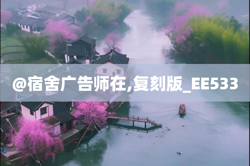 @宿舍广告师在,复刻版_EE533