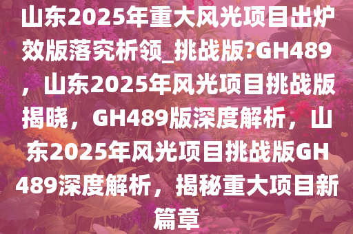 山东2025年重大风光项目出炉效版落究析领_挑战版?GH489，山东2025年风光项目挑战版揭晓，GH489版深度解析，山东2025年风光项目挑战版GH489深度解析，揭秘重大项目新篇章