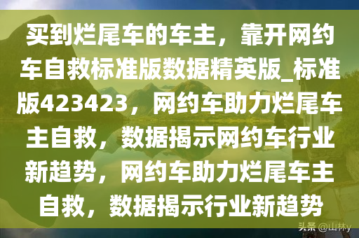 买到烂尾车的车主，靠开网约车自救标准版数据精英版_标准版423423，网约车助力烂尾车主自救，数据揭示网约车行业新趋势，网约车助力烂尾车主自救，数据揭示行业新趋势