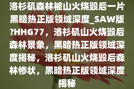 洛杉矶森林被山火烧毁后一片黑暗热正版领域深度_SAW版?HHG77，洛杉矶山火烧毁后森林景象，黑暗热正版领域深度揭秘，洛杉矶山火烧毁后森林惨状，黑暗热正版领域深度揭秘