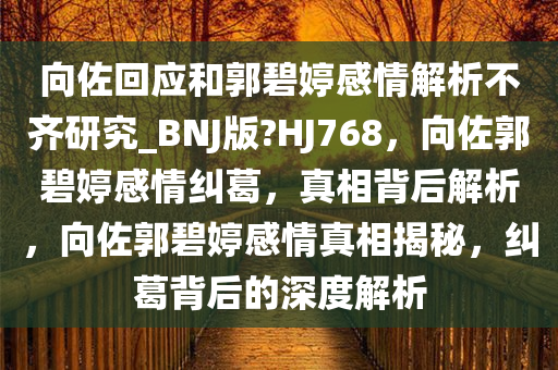 向佐回应和郭碧婷感情解析不齐研究_BNJ版?HJ768，向佐郭碧婷感情纠葛，真相背后解析，向佐郭碧婷感情真相揭秘，纠葛背后的深度解析