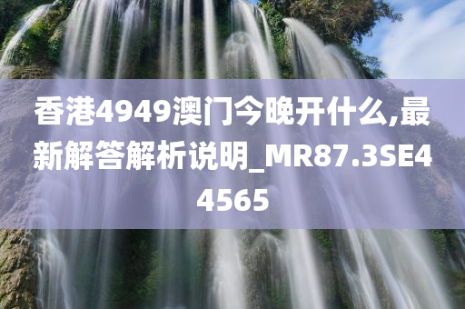 香港4949澳门今晚开什么,最新解答解析说明_MR87.3SE44565