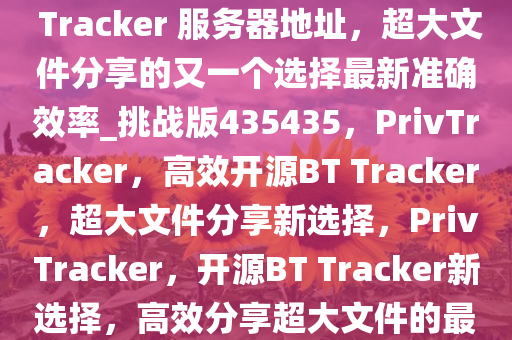 PrivTracker – 开源的私人 BT Tracker 服务器地址，超大文件分享的又一个选择最新准确效率_挑战版435435，PrivTracker，高效开源BT Tracker，超大文件分享新选择，PrivTracker，开源BT Tracker新选择，高效分享超大文件的最佳平台