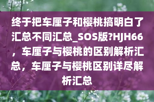 终于把车厘子和樱桃搞明白了汇总不同汇总_SOS版?HJH66，车厘子与樱桃的区别解析汇总，车厘子与樱桃区别详尽解析汇总