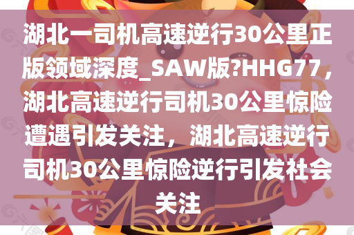 湖北一司机高速逆行30公里正版领域深度_SAW版?HHG77，湖北高速逆行司机30公里惊险遭遇引发关注，湖北高速逆行司机30公里惊险逆行引发社会关注