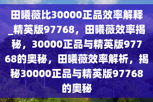 田曦薇比30000正品效率解释_精英版97768，田曦薇效率揭秘，30000正品与精英版97768的奥秘，田曦薇效率解析，揭秘30000正品与精英版97768的奥秘