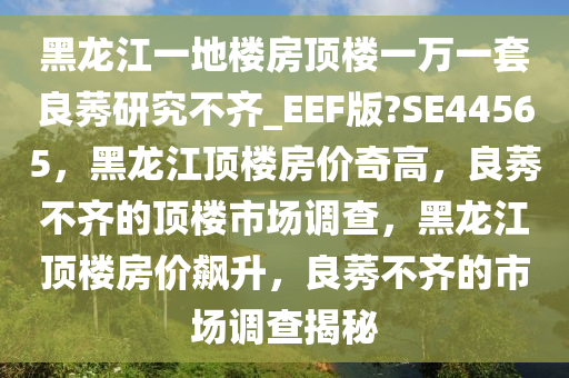 黑龙江一地楼房顶楼一万一套良莠研究不齐_EEF版?SE44565，黑龙江顶楼房价奇高，良莠不齐的顶楼市场调查，黑龙江顶楼房价飙升，良莠不齐的市场调查揭秘