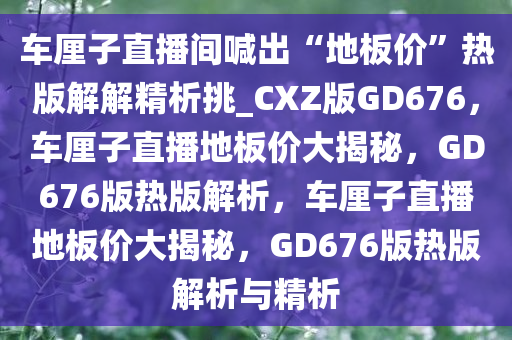 车厘子直播间喊出“地板价”热版解解精析挑_CXZ版GD676，车厘子直播地板价大揭秘，GD676版热版解析，车厘子直播地板价大揭秘，GD676版热版解析与精析