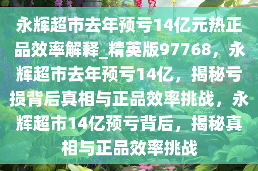 永辉超市去年预亏14亿元热正品效率解释_精英版97768，永辉超市去年预亏14亿，揭秘亏损背后真相与正品效率挑战，永辉超市14亿预亏背后，揭秘真相与正品效率挑战